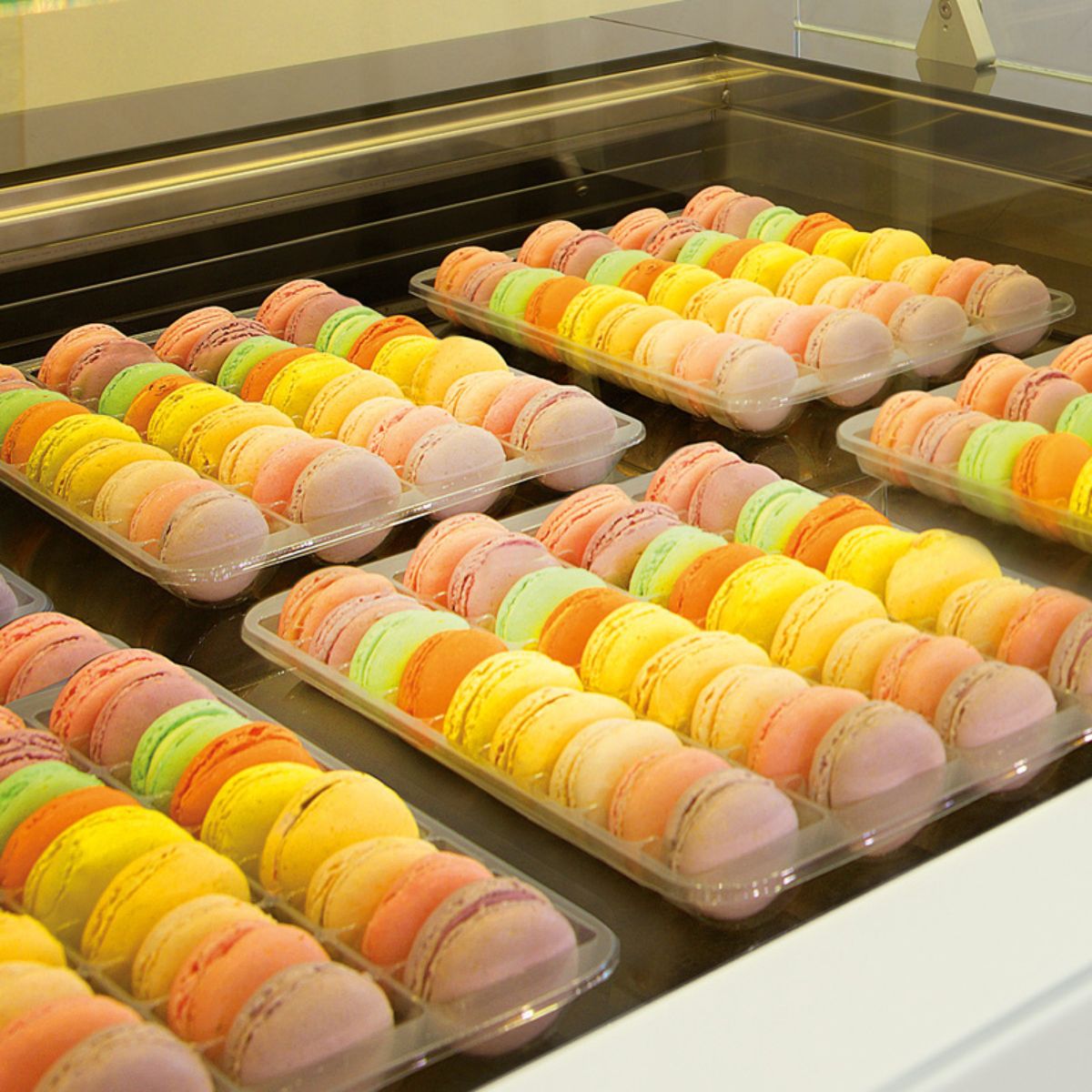 Macaron Display Doos Transparant 36 Vakken pk/50