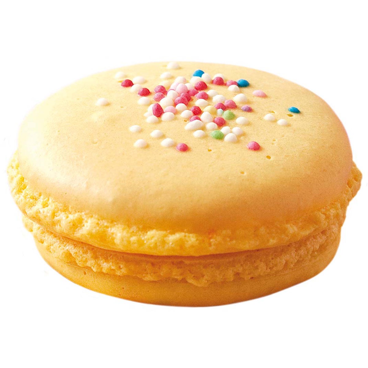 Scrapcooking Stainless Steel Macaron Piping Tip Ø9mm