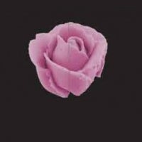 JEM Giant Rose / Petal / Ruffle Nozzle #127D