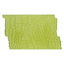 Marvelous Molds Silicone Mal - Alligator
