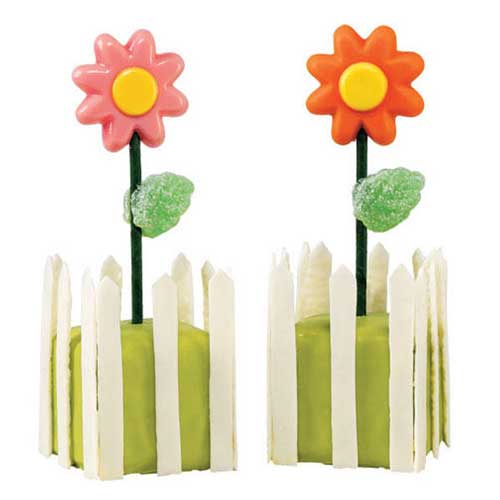 Bloem lolly's