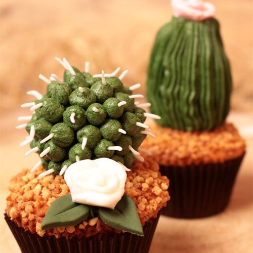 Cactuscupcakes