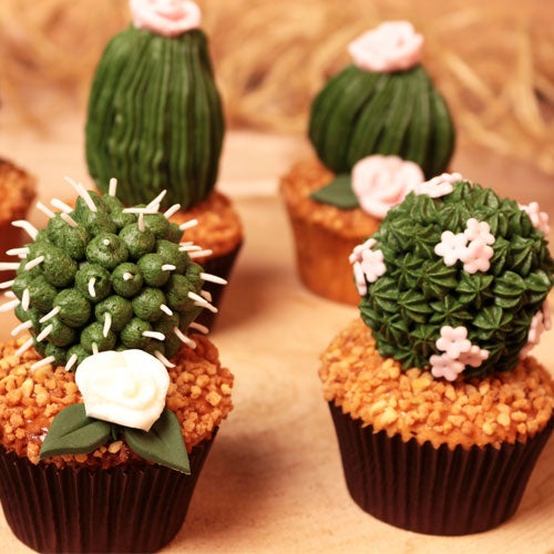 Cactuscupcakes