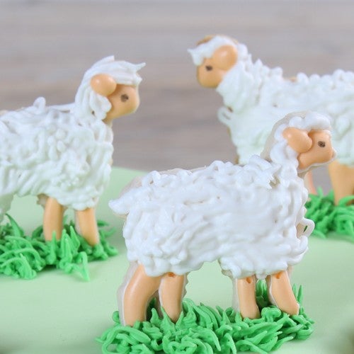 Koekjes taart
