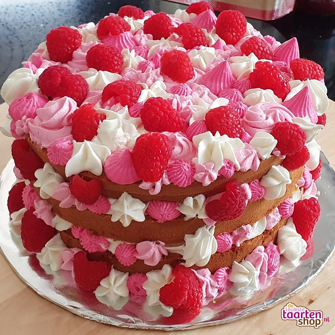 Framboos chocolade taart door Jo Mitha