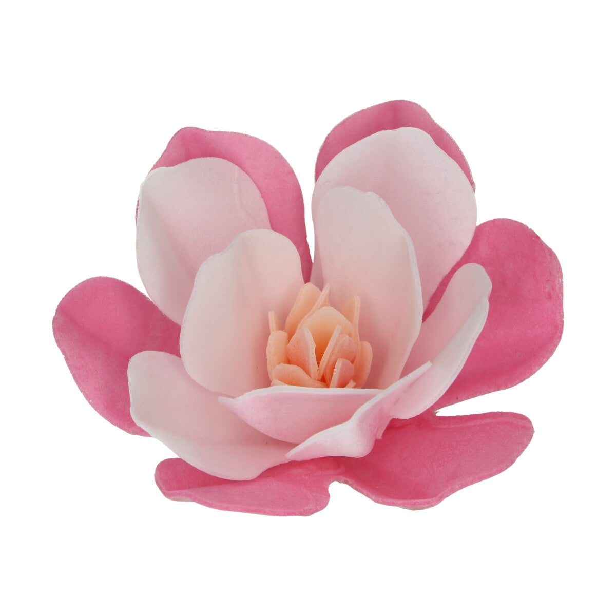 FunCakes Eetbare Papieren Bloemen Deluxe Magnolia Roze Large pk/6