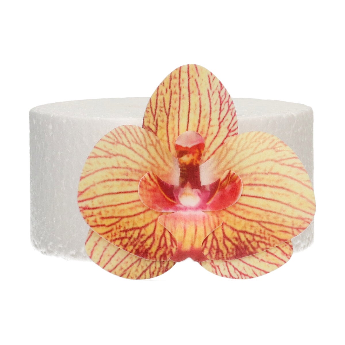 FunCakes Eetbare Papieren Bloemen Deluxe Orchidee Goudbruin Medium pk/10
