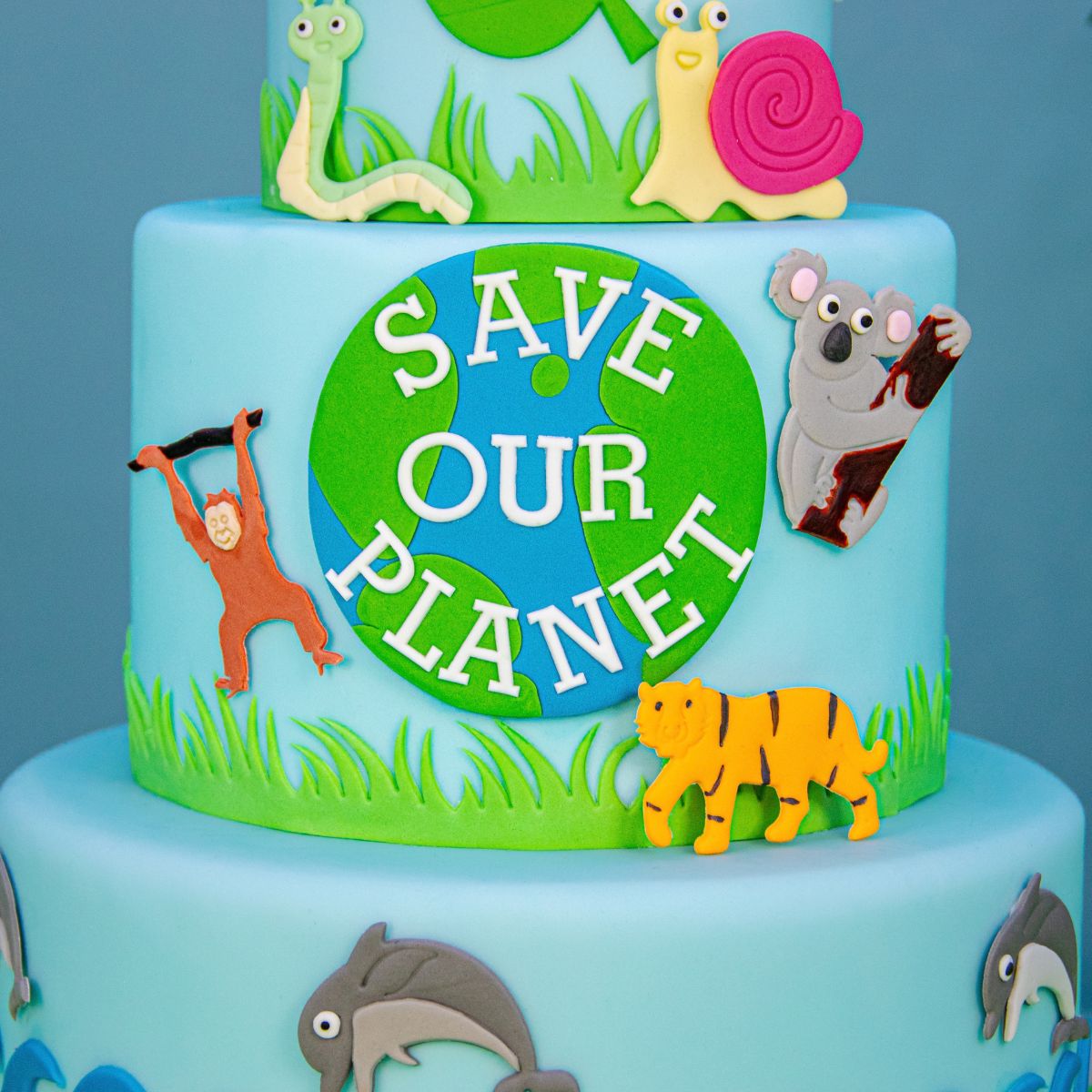 FMM Tappit Uitsteker Save our Planet
