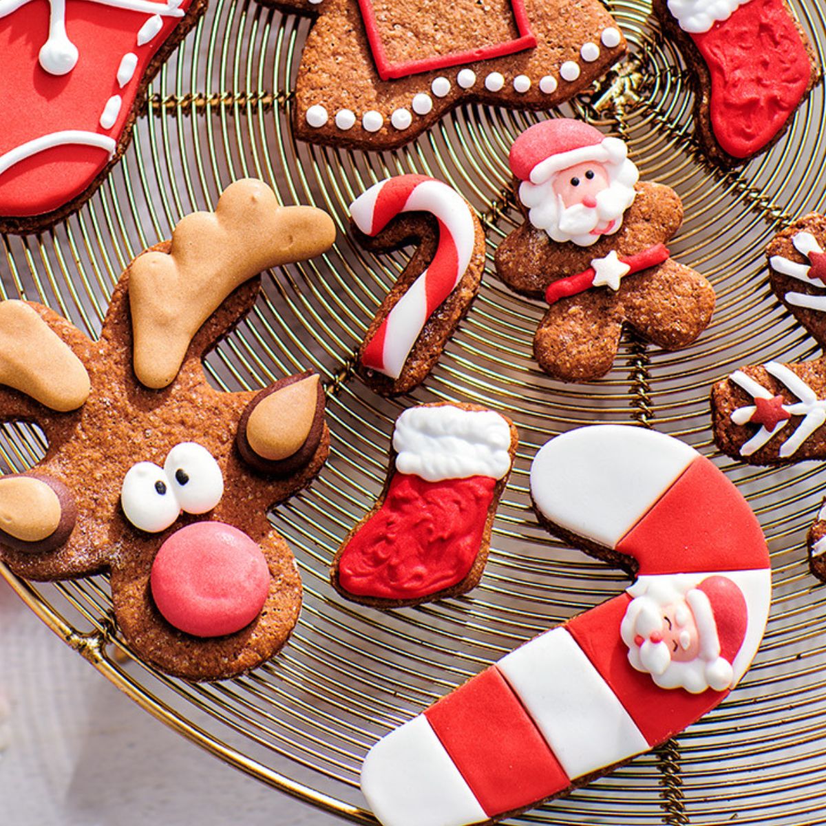 FunCakes Suikerdecoratie Rudolph