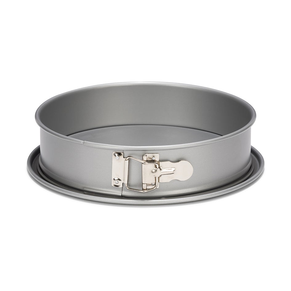 Patisse Silver-Top Springvorm Lekvrije Bodem Ø24cm