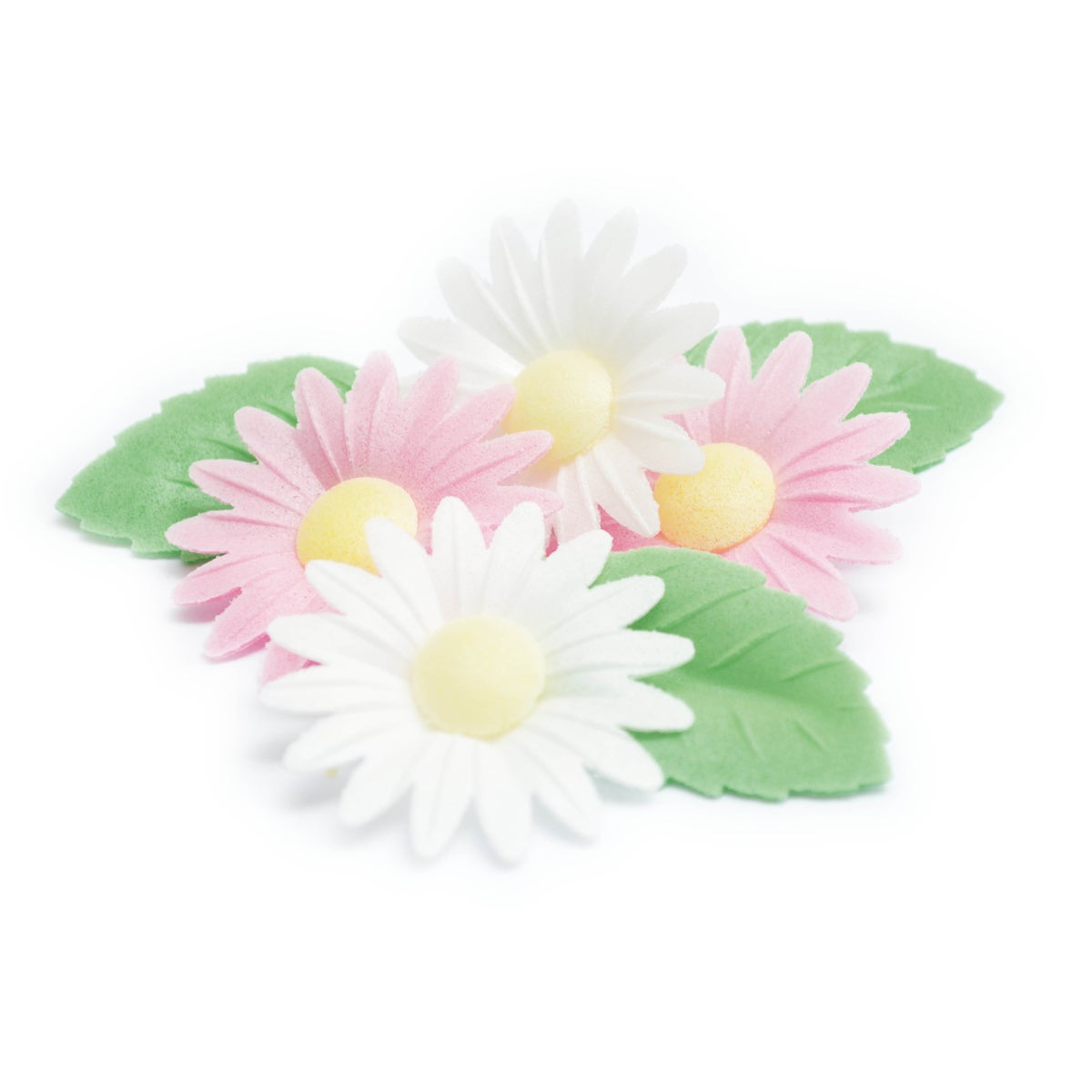 Scrapcooking Madelief & Blad Decoratie Set/12